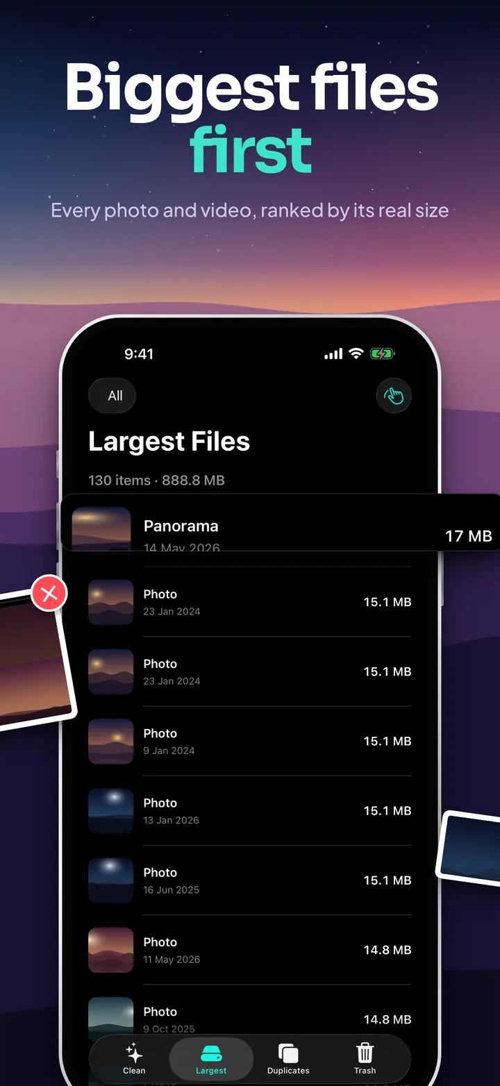 Biggest files first: the Largest Files list sorted by real size, with a 17 MB panorama at the top.
